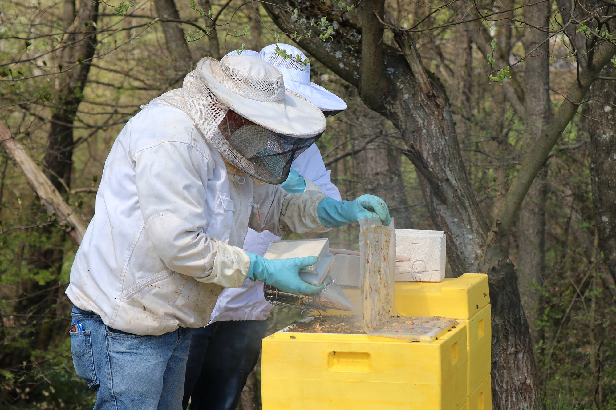 Azubis der EWM AG starten „Bienenprojekt“